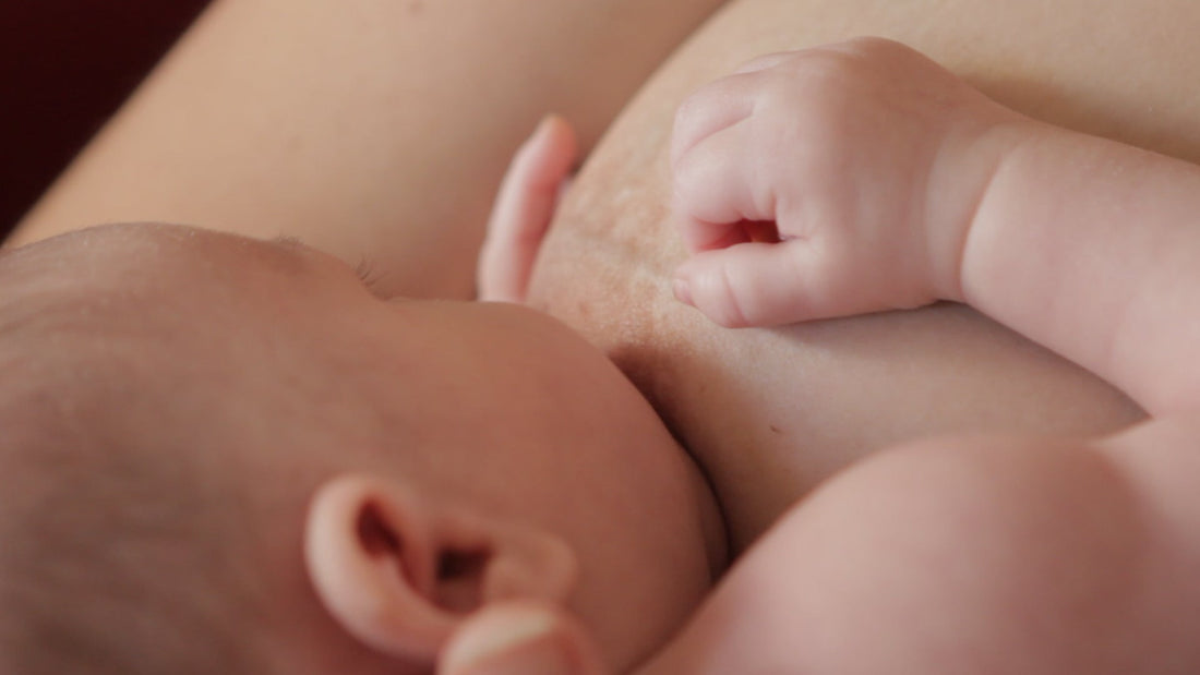 Baby breastfeeding | Nourish Baby