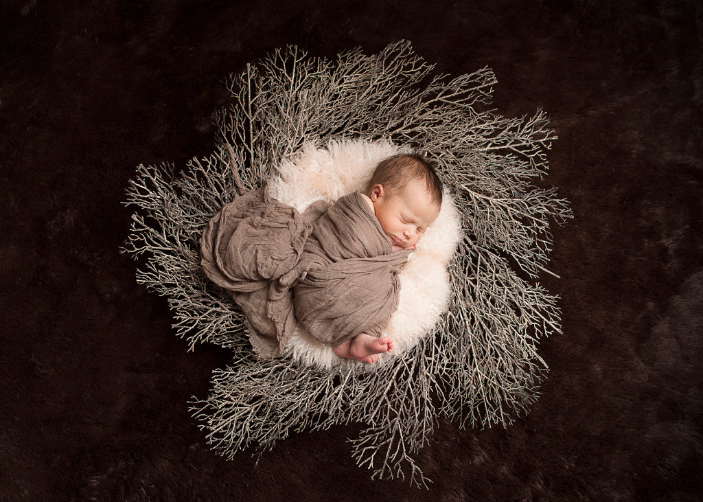 Photoshoot of wrapped baby laying in nest | Nourish Baby