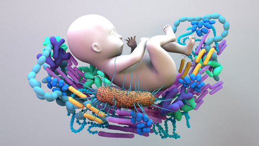 Baby cradled by bacteria | Nourish Baby