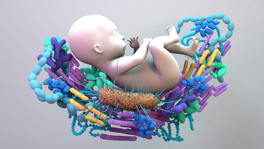 Baby cradled by bacteria | Nourish Baby