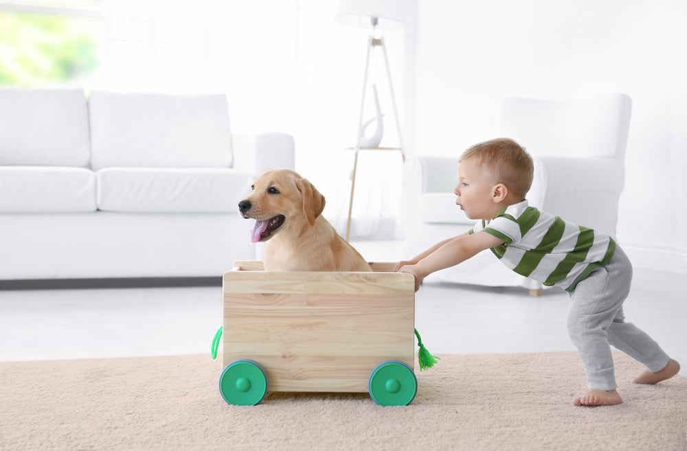 What Are The Effects of Pets on Child Development?