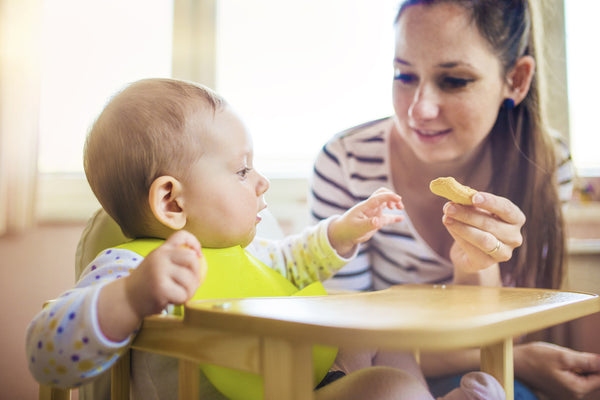 Find Success in Your Feeding Journey with Nourish Baby