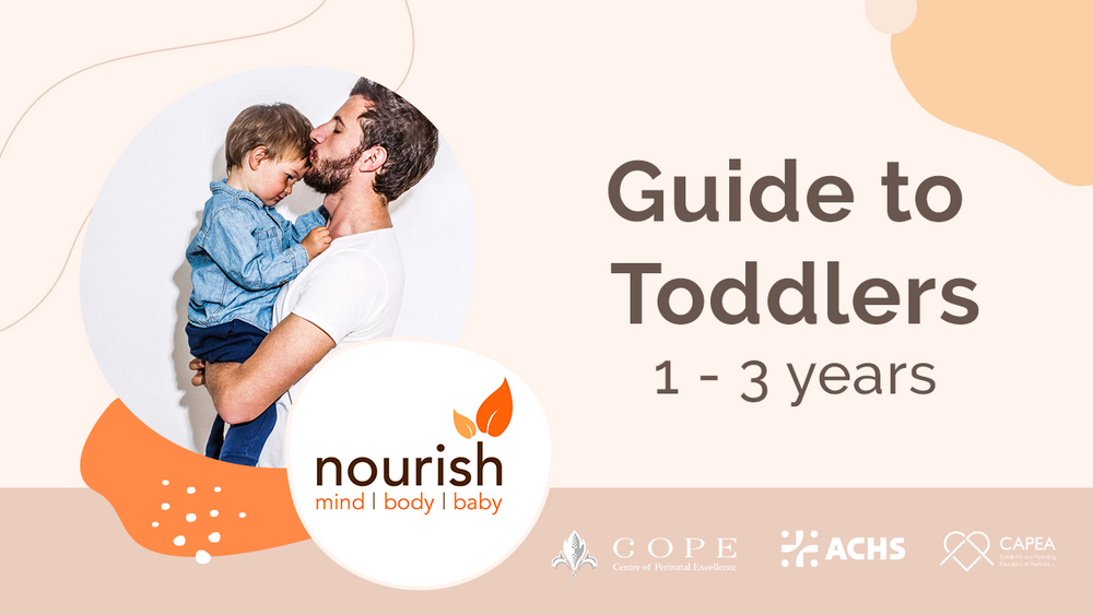 toddlers-guide